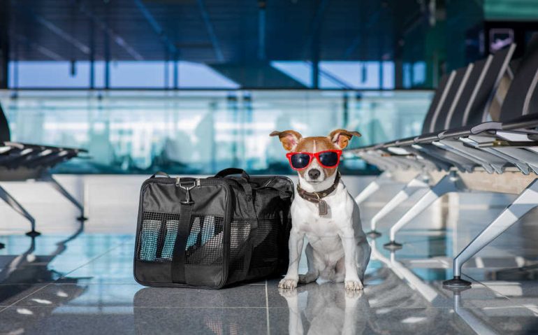 shutterstock_625241933(FILEminimizer)